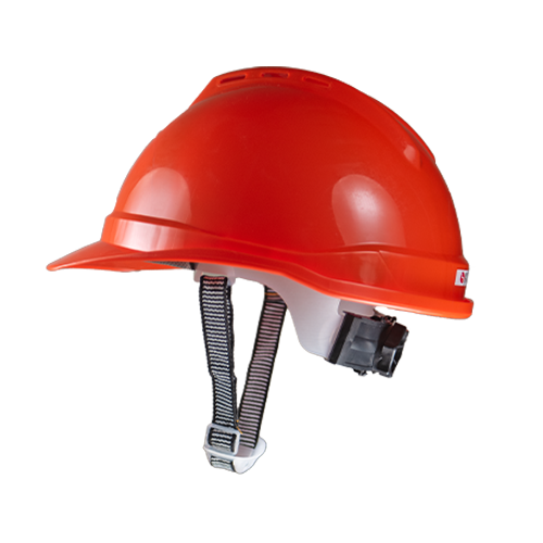 Vykta Head protection side
